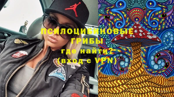 спиды Богданович