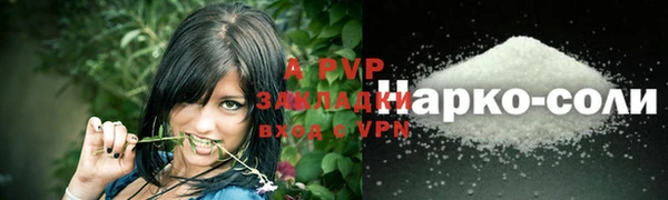 спиды Богданович