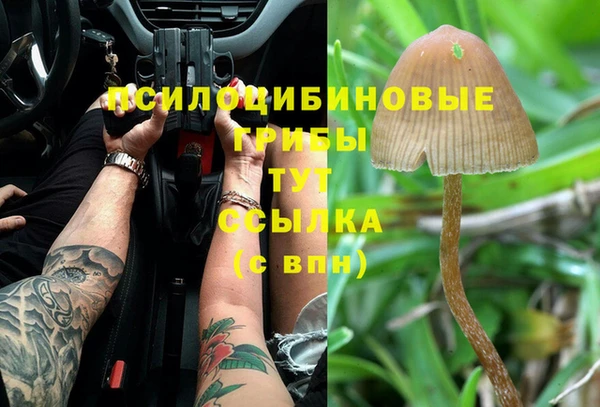 спиды Богданович