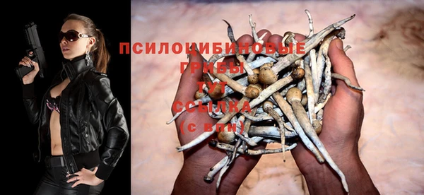 спиды Богданович